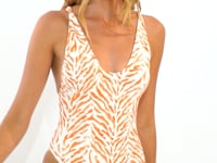 Video: Rio De Sol One Piece Swimsuits Sahari Sunny